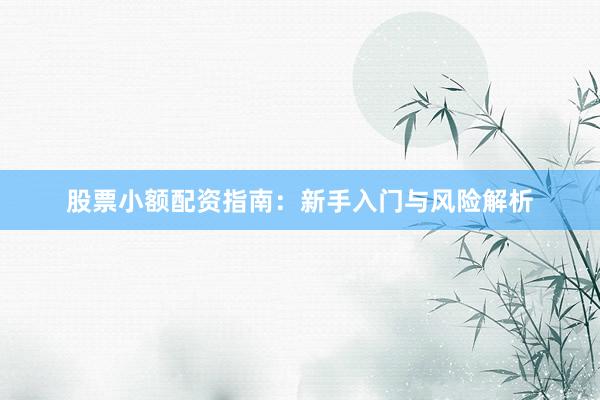 股票小额配资指南：新手入门与风险解析